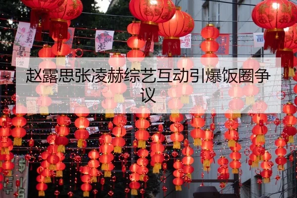 zhao-lu-si-zhang-ling-he-zong-yi-hu-dong-yin-bao-fan-quan-zheng-yi-2-261.jpg