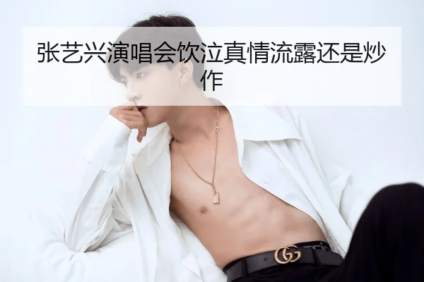 zhang-yi-xing-yan-chang-hui-yin-qi-zhen-qing-liu-lu-hai-shi-chao-zuo-2-912.jpg