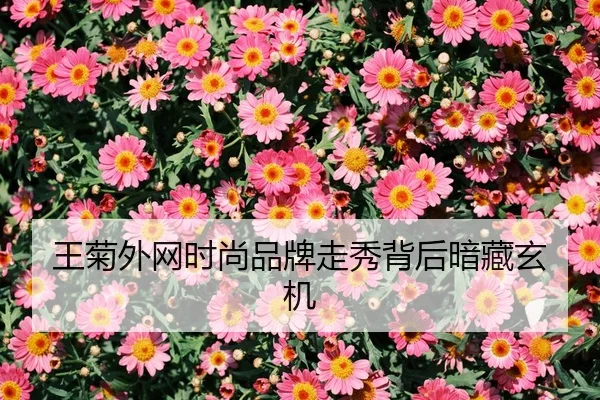wang-ju-wai-wang-shi-shang-pin-pai-zou-xiu-bei-hou-an-cang-xuan-ji-2-208.jpg