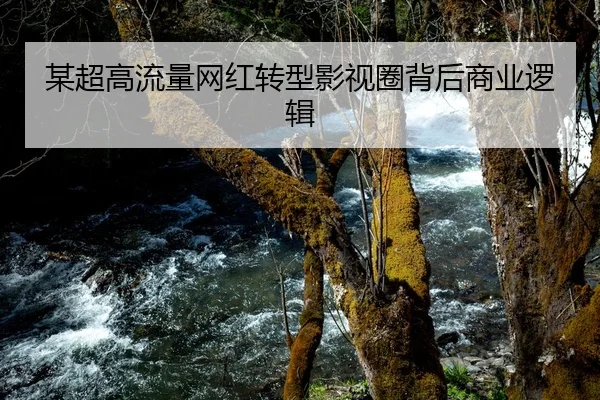 mou-chao-gao-liu-liang-wang-hong-zhuan-xing-ying-shi-quan-bei-hou-shang-ye-luo-ji-1-835.jpg